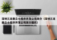 深圳三足鼎立小程序开发公司简介（深圳三足鼎立小程序开发公司简介图片）