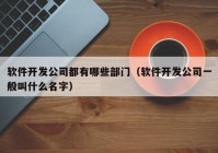 软件开发公司都有哪些部门（软件开发公司一般叫什么名字）