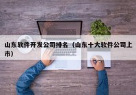 山东软件开发公司排名（山东十大软件公司上市）