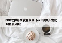 ERP软件开发就业前景（erp软件开发就业前景分析）