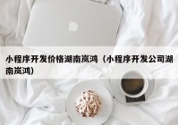 小程序开发价格湖南岚鸿（小程序开发公司湖南岚鸿）