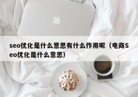 seo优化是什么意思有什么作用呢（电商Seo优化是什么意思）