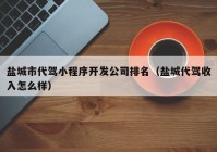 盐城市代驾小程序开发公司排名（盐城代驾收入怎么样）