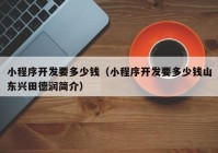 小程序开发要多少钱（小程序开发要多少钱山东兴田德润简介）