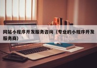 网站小程序开发服务咨询（专业的小程序开发服务商）