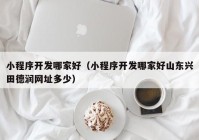 小程序开发哪家好（小程序开发哪家好山东兴田德润网址多少）