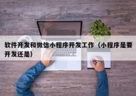 软件开发和微信小程序开发工作（小程序是要开发还是）